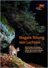 Illegale Tötung von Luchsen