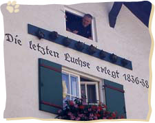 Im Allgäu wurden Luchse noch bis Mitte des 19. Jahrhunderts erlegt.