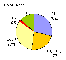 Mehr Jungtiere als alte Rehe