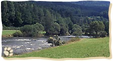 Hier hat Chica den Fluss Regen durchschwommen - beim legendären Augusthochwasser 2002.